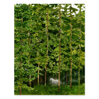 Magical Forest - Just Because Card