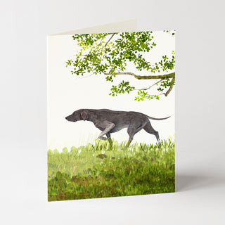 Weimaraner - Dog Card