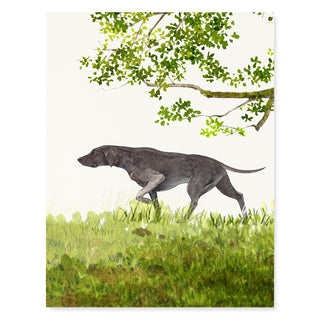 Weimaraner - Dog Card