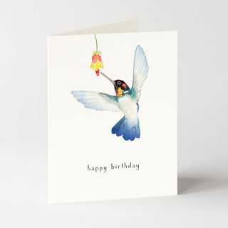 Bee Hummingbird - Birthday Card