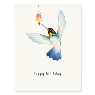 Bee Hummingbird - Birthday Card