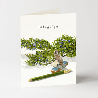 Little Owl - Love & Friendship Card