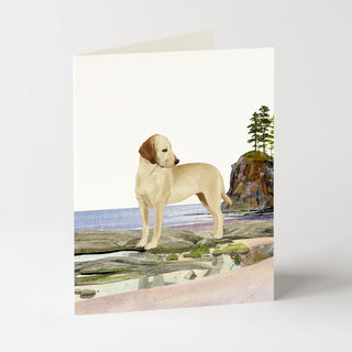 Yellow Lab - Dog Card