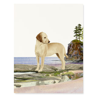 Yellow Lab - Dog Card