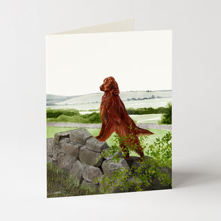 Irish Setter - Dog Card