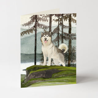 Alaskan Malamute - Dog Card