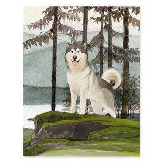 Alaskan Malamute - Dog Card