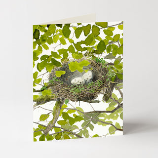 Good Nest - Just Because Card