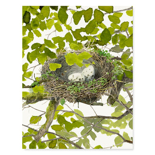 Good Nest - Just Because Card