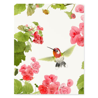 Anna’s Hummingbird - Flower Garden Card