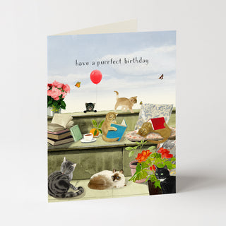 Purrfect Birthday - Birthday Card