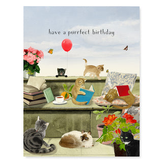 Purrfect Birthday - Birthday Card