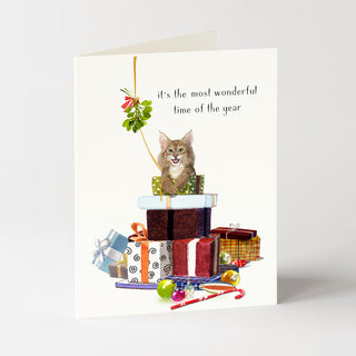 Feline Felicity - Christmas Card