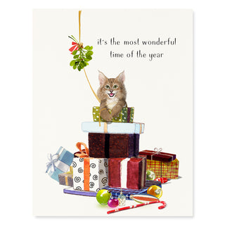 Feline Felicity - Christmas Card