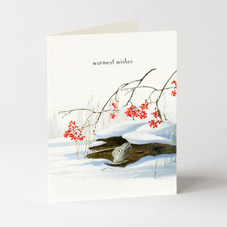 Rabbit Hollow - Holiday Card