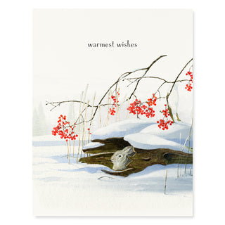 Rabbit Hollow - Holiday Card
