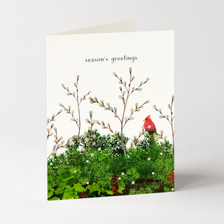 Cardinal and Evergreen - Holiday Card