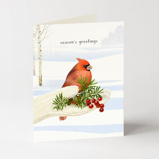 Cozy Cardinal - Holiday Card