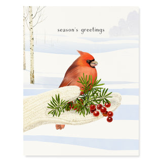 Cozy Cardinal - Holiday Card