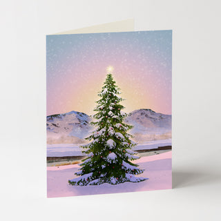Rosy Glow - Christmas Card