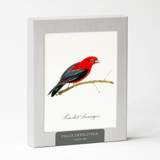 Songbirds - Note Set