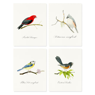 Songbirds - Note Set