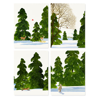Evergreen Grove - Note Set