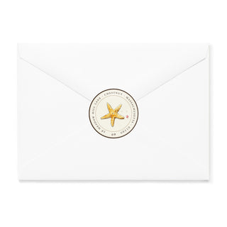 Scallop and Rock Star - Small Note Cards