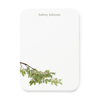 Evergreen Bough - Small Note Cards