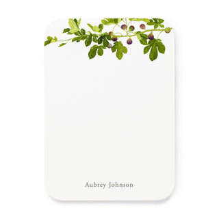 Fig Branch - Small Note Cards