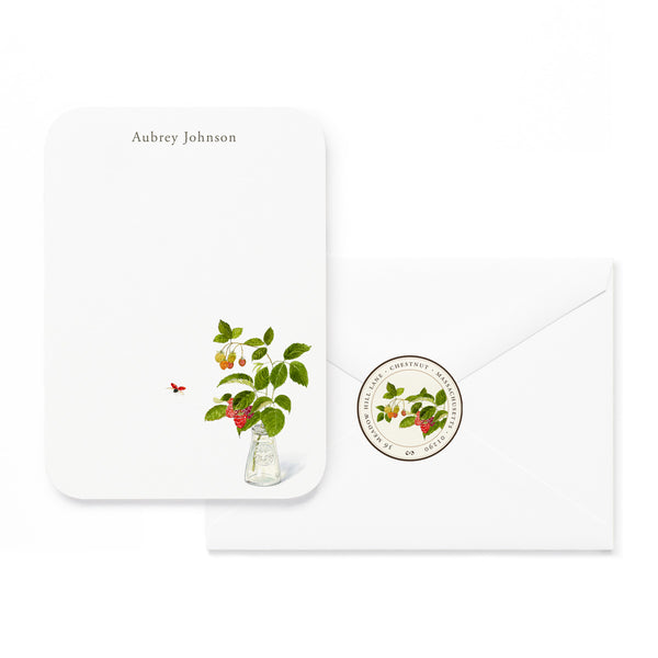 Ladybug with Raspberry