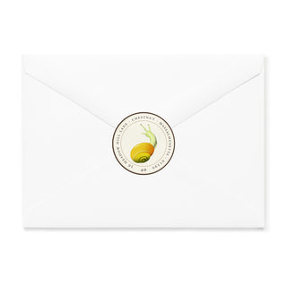 Amanita Muscaria - Small Note Cards