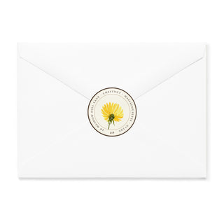 Ikootan Mesmerized - Small Note Cards