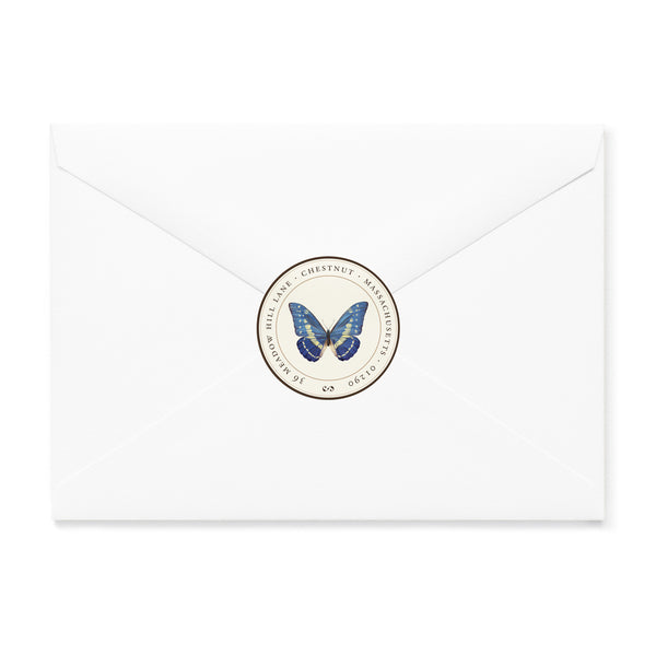 Morpho Cypris Butterfly