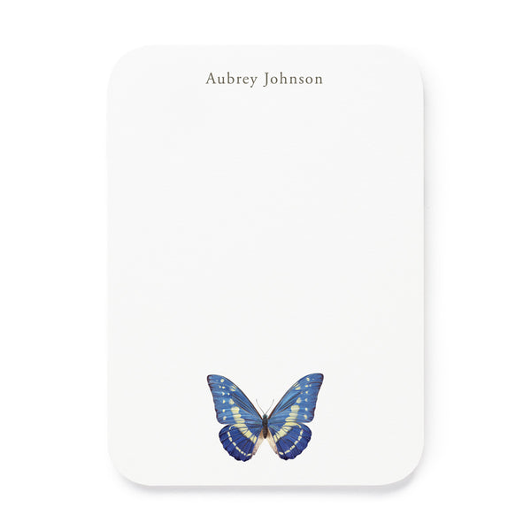 Morpho Cypris Butterfly