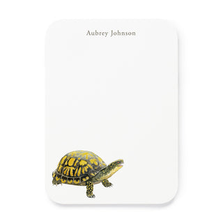 Box Turtle - Small Note Cards