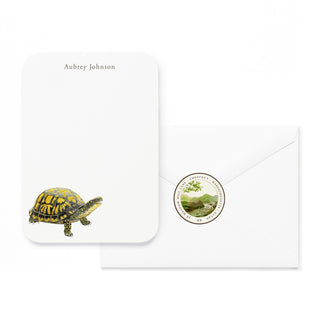 Box Turtle - Small Note Cards
