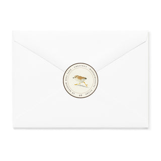 Piping Plover - Small Note Cards