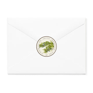 Saw Whet Owl - Small Note Cards