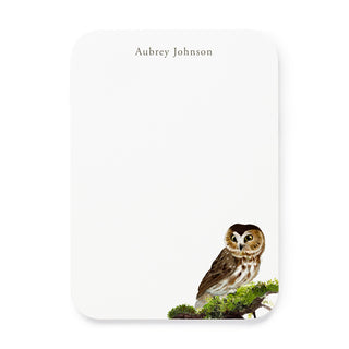 Saw Whet Owl - Small Note Cards