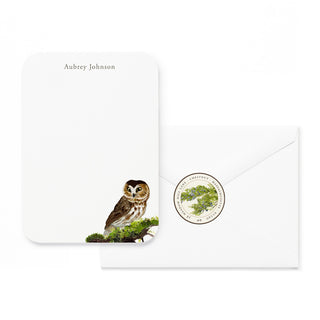 Saw Whet Owl - Small Note Cards