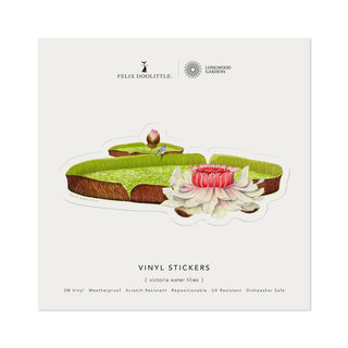 Victoria Water Lilies - Vinyl Sticker