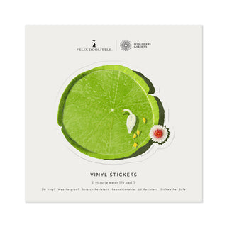 Victoria Water Lily Pad - Vinyl Sticker