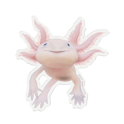 Axolotl