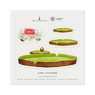 Victoria Water Lily Pond - Vinyl Stickers