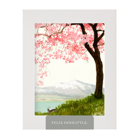 Blossoms by the Bank