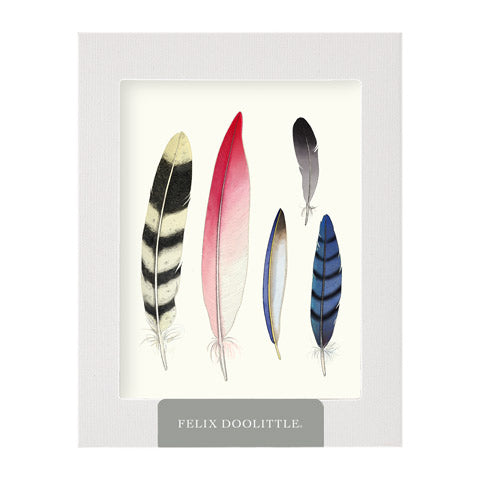 Feather Collection