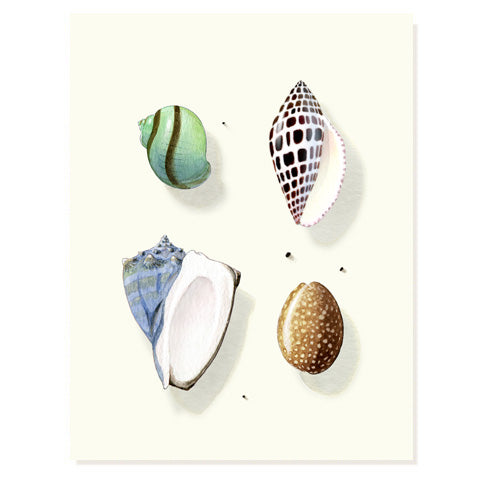 Sea Jewels - Occasion Card