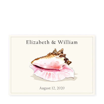 Pink Conch - Celebration Labels by Felix Doolittle