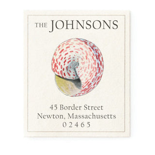 Turban Shell - Return Address Labels